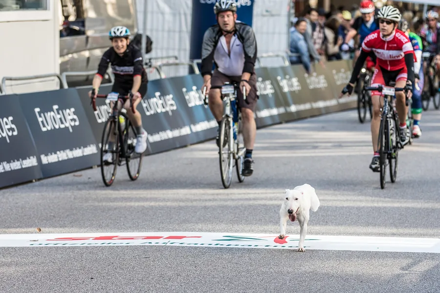 Cyclassics 2017 — 2017