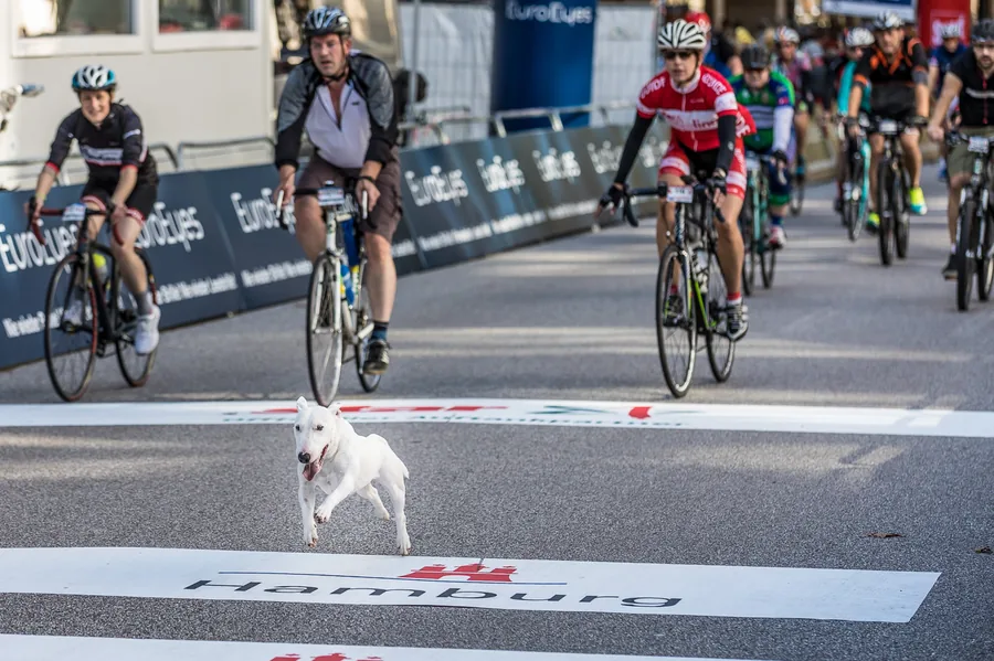 Cyclassics 2017 — 2017