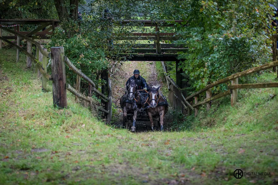Hubertusjagd 2017 — 2017
