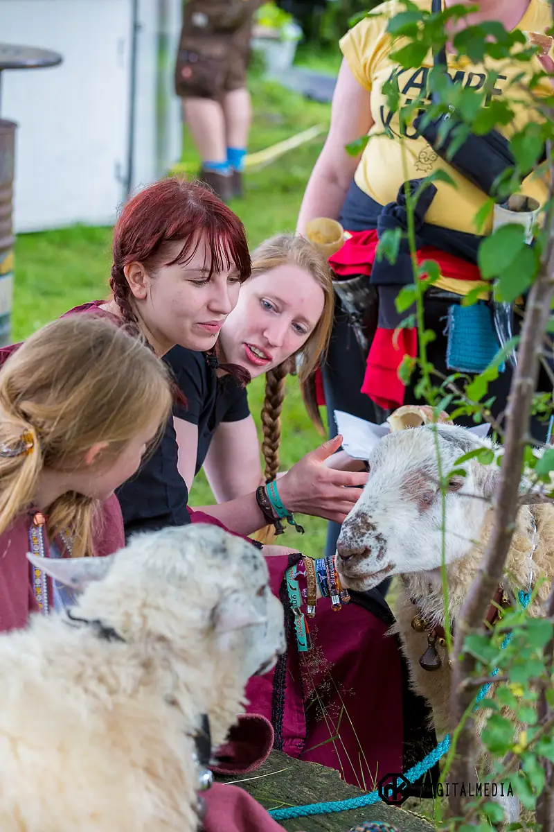 Hoernerfest 2016 Teil 1 — 2016