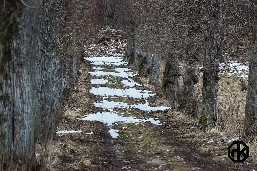 Harz 2013 — 2013